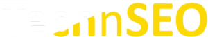 TechnSEO Mobile Menu Logo